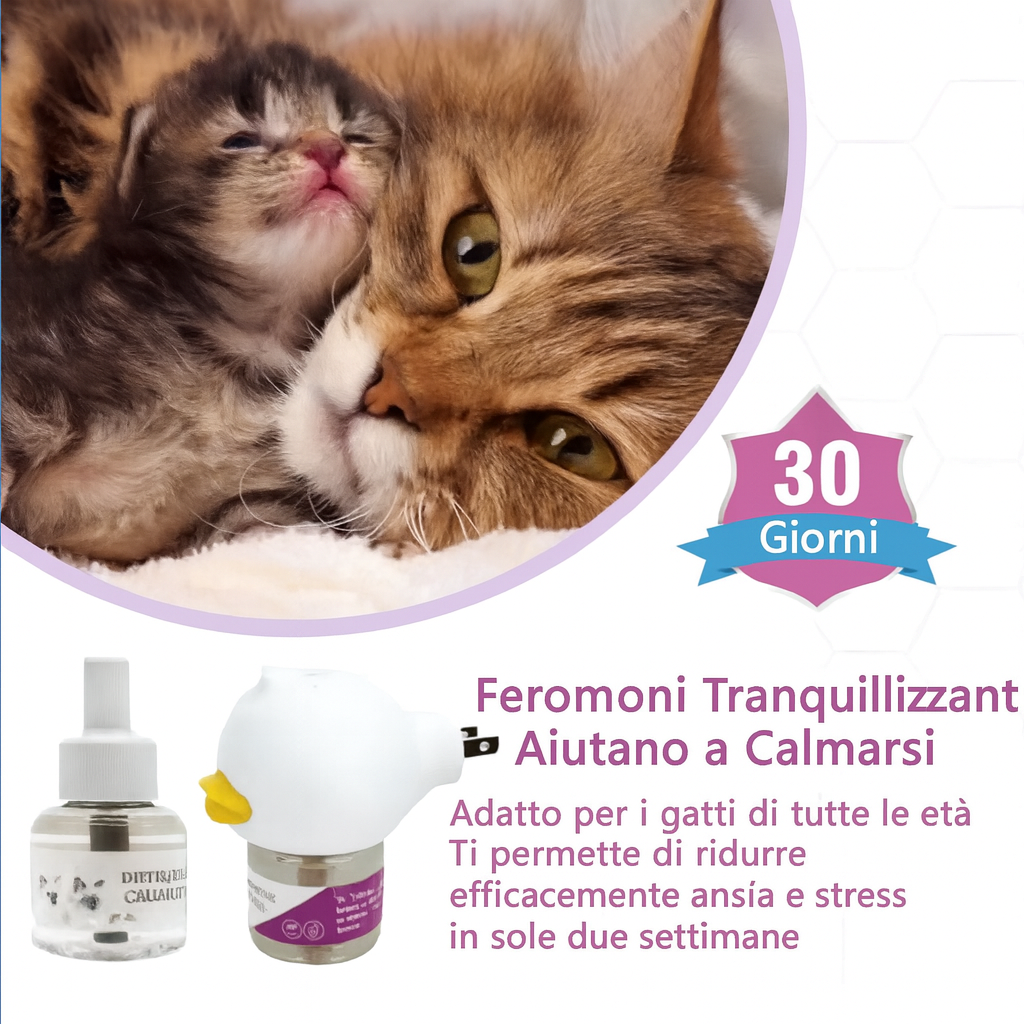 Sconto 50%